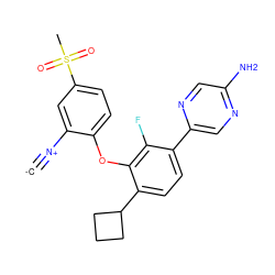 [C-]#[N+]c1cc(S(C)(=O)=O)ccc1Oc1c(C2CCC2)ccc(-c2cnc(N)cn2)c1F ZINC000473236392