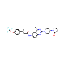 C/C(=C\C(=O)Nc1ccc2nc(N3CCC(N4CCCC4=O)CC3)nc(C)c2c1)c1ccc(OC(F)(F)F)cc1 ZINC000084596912
