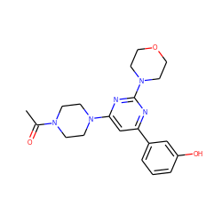 CC(=O)N1CCN(c2cc(-c3cccc(O)c3)nc(N3CCOCC3)n2)CC1 ZINC000064560059