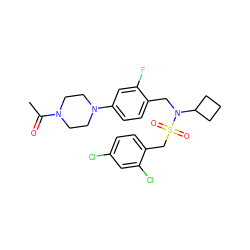CC(=O)N1CCN(c2ccc(CN(C3CCC3)S(=O)(=O)Cc3ccc(Cl)cc3Cl)c(F)c2)CC1 ZINC000147286618