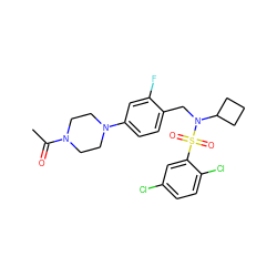 CC(=O)N1CCN(c2ccc(CN(C3CCC3)S(=O)(=O)c3cc(Cl)ccc3Cl)c(F)c2)CC1 ZINC000143981439