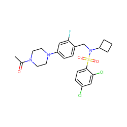 CC(=O)N1CCN(c2ccc(CN(C3CCC3)S(=O)(=O)c3ccc(Cl)cc3Cl)c(F)c2)CC1 ZINC000147261472