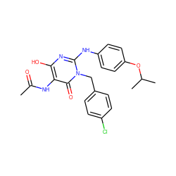 CC(=O)Nc1c(O)nc(Nc2ccc(OC(C)C)cc2)n(Cc2ccc(Cl)cc2)c1=O ZINC001772604551