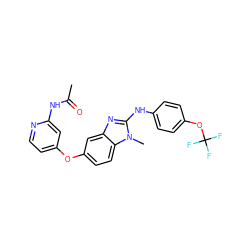 CC(=O)Nc1cc(Oc2ccc3c(c2)nc(Nc2ccc(OC(F)(F)F)cc2)n3C)ccn1 ZINC000167776088
