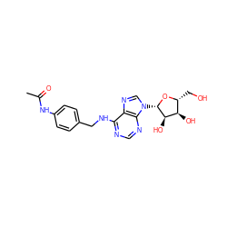 CC(=O)Nc1ccc(CNc2ncnc3c2ncn3[C@@H]2O[C@H](CO)[C@@H](O)[C@H]2O)cc1 ZINC000029059480