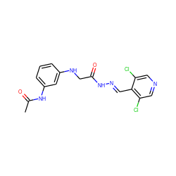 CC(=O)Nc1cccc(NCC(=O)N/N=C/c2c(Cl)cncc2Cl)c1 ZINC000201286547