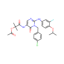 CC(=O)OC(C)(C)C(=O)Nc1cnc(Nc2ccc(OC(C)C)c(F)c2)n(Cc2ccc(Cl)cc2)c1=O ZINC000204092204
