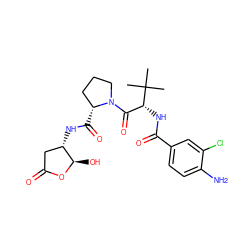 CC(C)(C)[C@H](NC(=O)c1ccc(N)c(Cl)c1)C(=O)N1CCC[C@H]1C(=O)N[C@H]1CC(=O)O[C@@H]1O ZINC000013977348