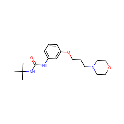 CC(C)(C)NC(=O)Nc1cccc(OCCCN2CCOCC2)c1 ZINC000043065139