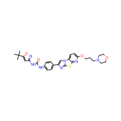 CC(C)(C)c1cc(NC(=O)Nc2ccc(-c3cn4c(n3)sc3nc(OCCCN5CCOCC5)ccc34)cc2)no1 ZINC000148915738