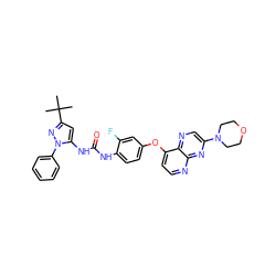 CC(C)(C)c1cc(NC(=O)Nc2ccc(Oc3ccnc4nc(N5CCOCC5)cnc34)cc2F)n(-c2ccccc2)n1 ZINC000058600042