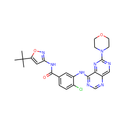 CC(C)(C)c1cc(NC(=O)c2ccc(Cl)c(Nc3ncnc4cnc(N5CCOCC5)nc34)c2)no1 ZINC000148086594