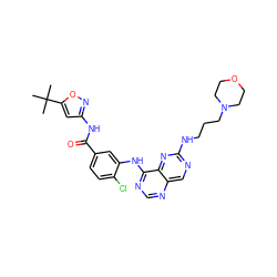 CC(C)(C)c1cc(NC(=O)c2ccc(Cl)c(Nc3ncnc4cnc(NCCCN5CCOCC5)nc34)c2)no1 ZINC000148087262