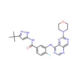 CC(C)(C)c1cc(NC(=O)c2ccc(F)c(Nc3ncnc4cnc(N5CCOCC5)nc34)c2)[nH]n1 ZINC000148274109