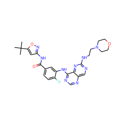 CC(C)(C)c1cc(NC(=O)c2ccc(F)c(Nc3ncnc4cnc(NCCN5CCOCC5)nc34)c2)no1 ZINC000148094385