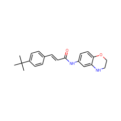 CC(C)(C)c1ccc(/C=C/C(=O)Nc2ccc3c(c2)NCCO3)cc1 ZINC000013606858
