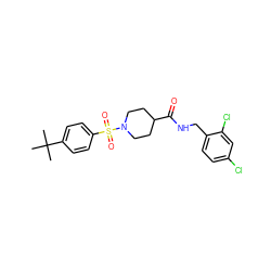 CC(C)(C)c1ccc(S(=O)(=O)N2CCC(C(=O)NCc3ccc(Cl)cc3Cl)CC2)cc1 ZINC000040406374