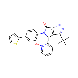 CC(C)(C)c1n[nH]c2c1[C@H](c1cccc[n+]1[O-])N(c1ccc(-c3cccs3)cc1)C2=O ZINC000096177172