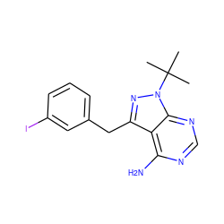 CC(C)(C)n1nc(Cc2cccc(I)c2)c2c(N)ncnc21 ZINC000059206021