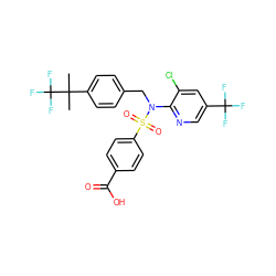 CC(C)(c1ccc(CN(c2ncc(C(F)(F)F)cc2Cl)S(=O)(=O)c2ccc(C(=O)O)cc2)cc1)C(F)(F)F ZINC000113164960