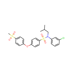 CC(C)CN(c1cccc(Cl)c1)S(=O)(=O)c1ccc(Oc2ccc(S(C)(=O)=O)cc2)cc1 ZINC000145580885