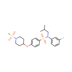 CC(C)CN(c1cccc(F)c1)S(=O)(=O)c1ccc(OC2CCN(S(C)(=O)=O)CC2)cc1 ZINC000145418142