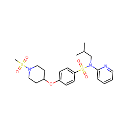 CC(C)CN(c1ccccn1)S(=O)(=O)c1ccc(OC2CCN(S(C)(=O)=O)CC2)cc1 ZINC000299830967