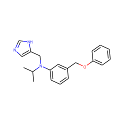 CC(C)N(Cc1cnc[nH]1)c1cccc(COc2ccccc2)c1 ZINC000096177535