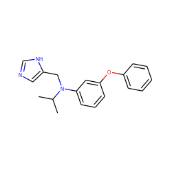 CC(C)N(Cc1cnc[nH]1)c1cccc(Oc2ccccc2)c1 ZINC000096177508