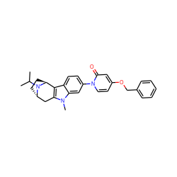 CC(C)N1[C@H]2CC[C@H]1c1c(n(C)c3cc(-n4ccc(OCc5ccccc5)cc4=O)ccc13)C2 ZINC000261173141