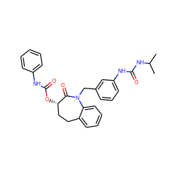 CC(C)NC(=O)Nc1cccc(CN2C(=O)[C@@H](OC(=O)Nc3ccccc3)CCc3ccccc32)c1 ZINC000013798757