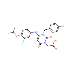 CC(C)Oc1ccc(Nc2cc(=O)n(CC(=O)O)c(=O)n2Cc2ccc(Cl)cc2)cc1F ZINC000204097781