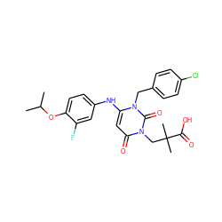 CC(C)Oc1ccc(Nc2cc(=O)n(CC(C)(C)C(=O)O)c(=O)n2Cc2ccc(Cl)cc2)cc1F ZINC000200068409