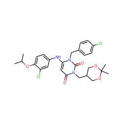 CC(C)Oc1ccc(Nc2cc(=O)n(CC3COC(C)(C)OC3)c(=O)n2Cc2ccc(Cl)cc2)cc1Cl ZINC000204097732