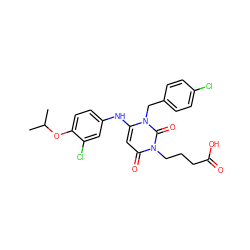 CC(C)Oc1ccc(Nc2cc(=O)n(CCCC(=O)O)c(=O)n2Cc2ccc(Cl)cc2)cc1Cl ZINC000204095138