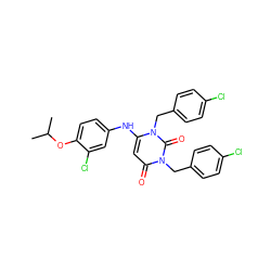 CC(C)Oc1ccc(Nc2cc(=O)n(Cc3ccc(Cl)cc3)c(=O)n2Cc2ccc(Cl)cc2)cc1Cl ZINC000204095812