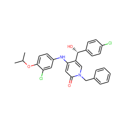 CC(C)Oc1ccc(Nc2cc(=O)n(Cc3ccccc3)cc2[C@H](O)c2ccc(Cl)cc2)cc1Cl ZINC000204090074