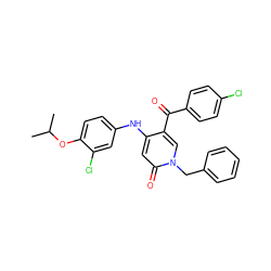 CC(C)Oc1ccc(Nc2cc(=O)n(Cc3ccccc3)cc2C(=O)c2ccc(Cl)cc2)cc1Cl ZINC000204089880