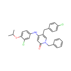 CC(C)Oc1ccc(Nc2cc(=O)n(Cc3ccccc3)cc2Cc2ccc(Cl)cc2)cc1Cl ZINC000204090056