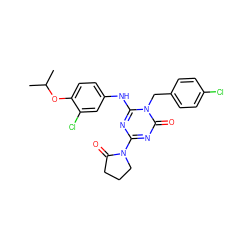 CC(C)Oc1ccc(Nc2nc(N3CCCC3=O)nc(=O)n2Cc2ccc(Cl)cc2)cc1Cl ZINC000200513552