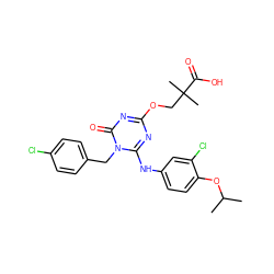 CC(C)Oc1ccc(Nc2nc(OCC(C)(C)C(=O)O)nc(=O)n2Cc2ccc(Cl)cc2)cc1Cl ZINC000200504594