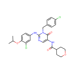 CC(C)Oc1ccc(Nc2ncc(NC(=O)C3CCOCC3)c(=O)n2Cc2ccc(Cl)cc2)cc1Cl ZINC000219547813