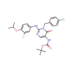 CC(C)Oc1ccc(Nc2ncc(NC(=O)OC(C)(C)C)c(=O)n2Cc2ccc(Cl)cc2)cc1F ZINC000204095832