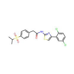 CC(C)S(=O)(=O)c1ccc(CC(=O)Nc2nc(-c3cc(Cl)ccc3Cl)cs2)cc1 ZINC000012070113