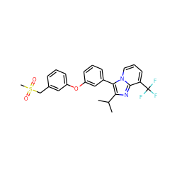 CC(C)c1nc2c(C(F)(F)F)cccn2c1-c1cccc(Oc2cccc(CS(C)(=O)=O)c2)c1 ZINC000045387580