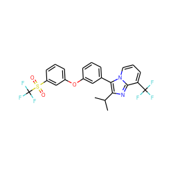 CC(C)c1nc2c(C(F)(F)F)cccn2c1-c1cccc(Oc2cccc(S(=O)(=O)C(F)(F)F)c2)c1 ZINC000049762043