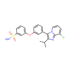 CC(C)c1nc2c(Cl)cccn2c1-c1cccc(Oc2cccc(S(N)(=O)=O)c2)c1 ZINC000045392689