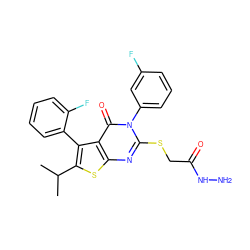 CC(C)c1sc2nc(SCC(=O)NN)n(-c3cccc(F)c3)c(=O)c2c1-c1ccccc1F ZINC000028340473