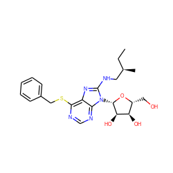 CC[C@@H](C)CNc1nc2c(SCc3ccccc3)ncnc2n1[C@@H]1O[C@H](CO)[C@@H](O)[C@H]1O ZINC000013607481