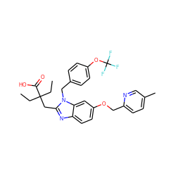 CCC(CC)(Cc1nc2ccc(OCc3ccc(C)cn3)cc2n1Cc1ccc(OC(F)(F)F)cc1)C(=O)O ZINC000218175809